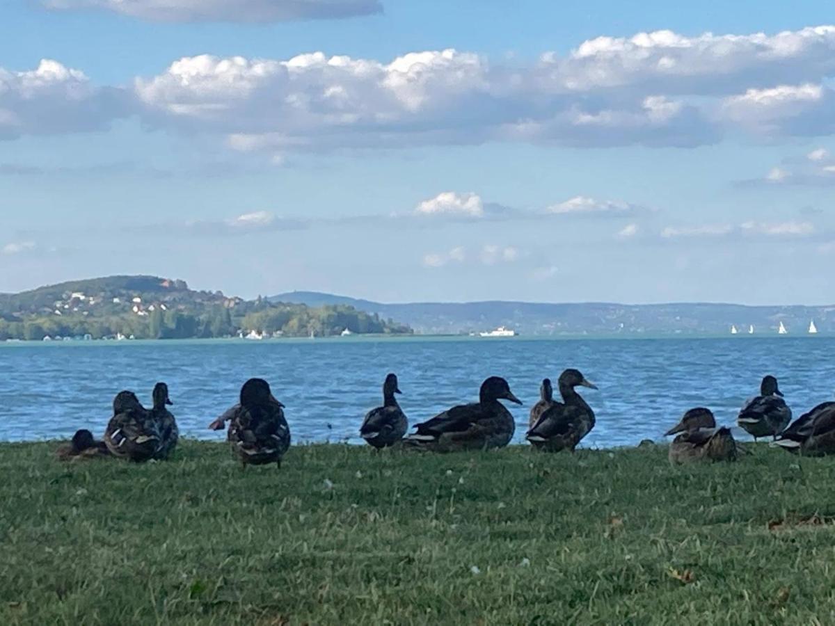 BalatonföldvárZawia Apartman公寓 外观 照片